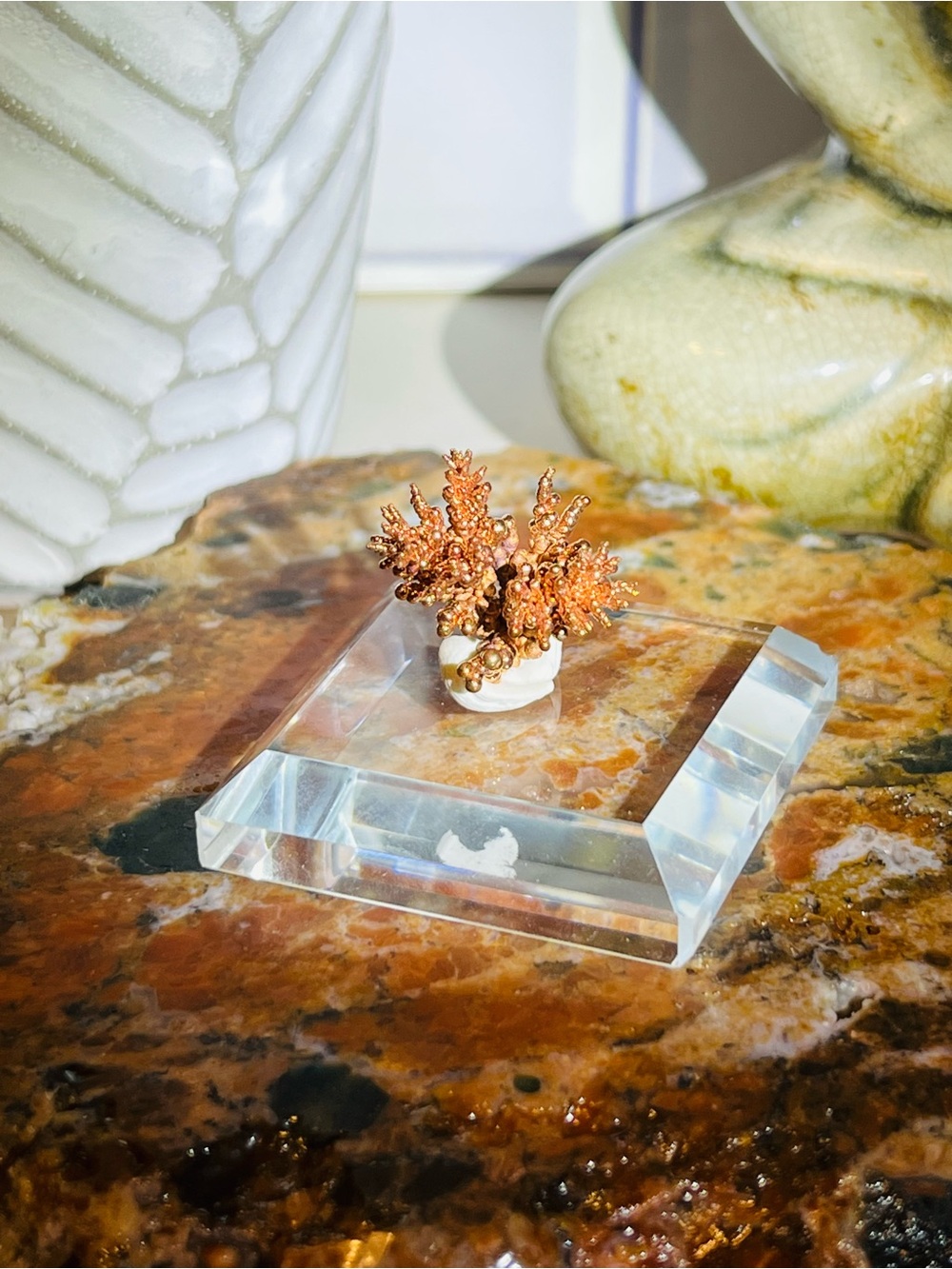 Copper 🪸 - Picture 3 of 3